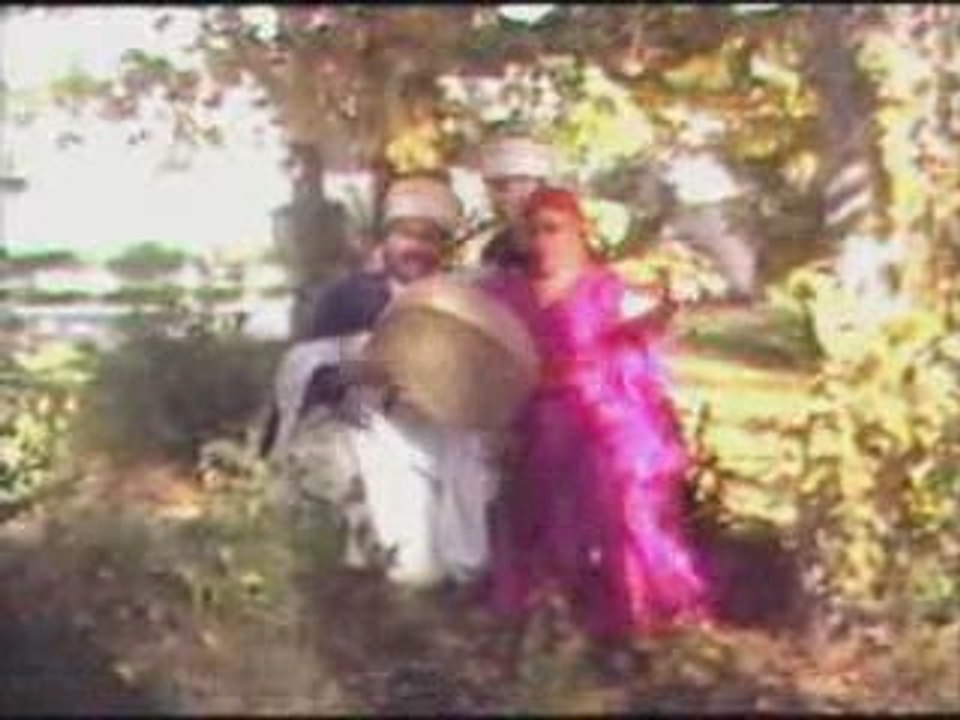 cheikh krimo