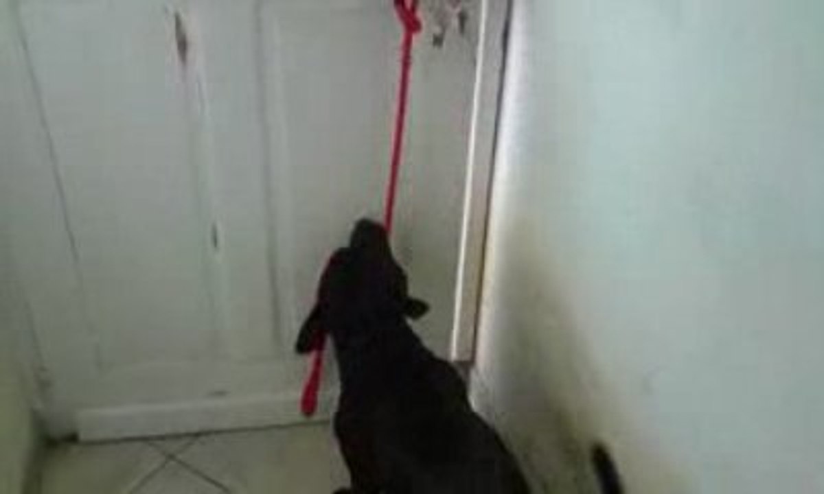 ouvre la porte 2
