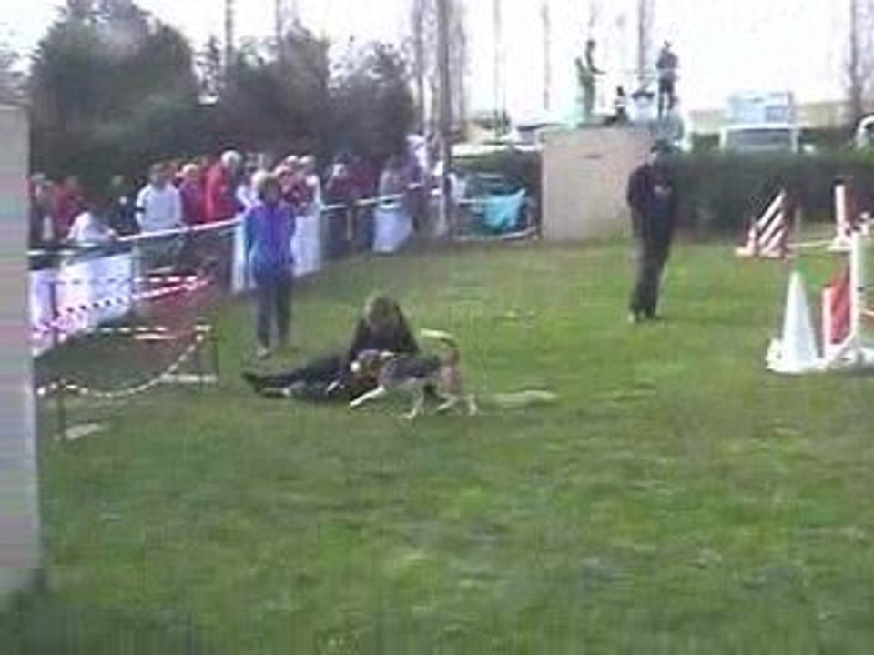 Astro Open Agility Villefranche 05/04/2009