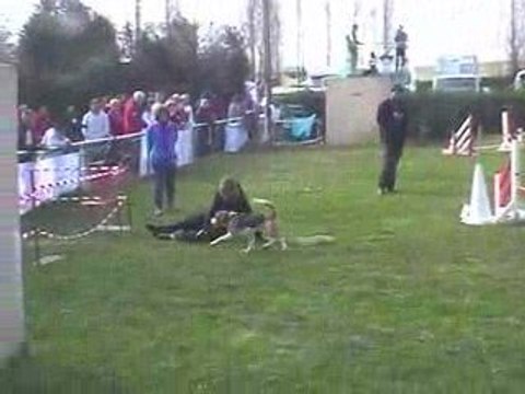 Astro Open Agility Villefranche 05/04/2009