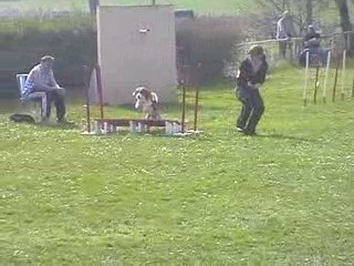 Astro GPF Agility Villefranche 05/04/2009