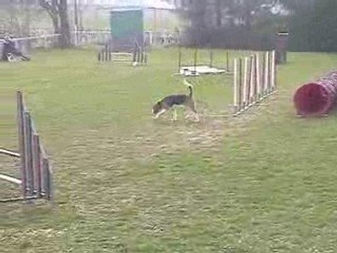 Astro Jumping Agility Villefranche 05/04/2009
