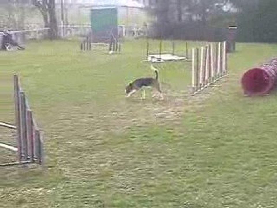 Astro Jumping Agility Villefranche 05/04/2009