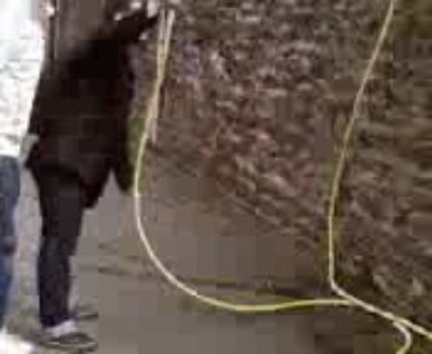 Video019