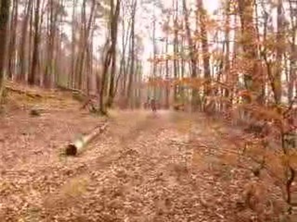 VTT Bitcherland