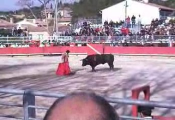 Vergèze 2009: Paco URENA 1er toro