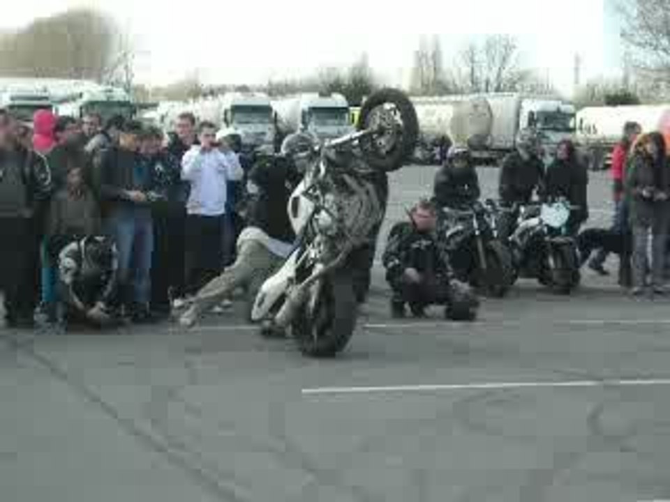 session stunt au cr du Havre