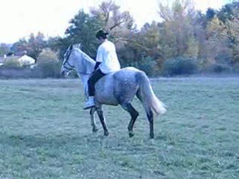 Moi sur Vasco a cru & en licol <33