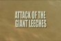 Attack of the Giant Leeches - Trailer