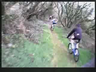 St divy vtt