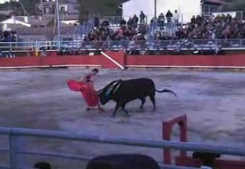 Vergèze 2009: Paco URENA 2d toro