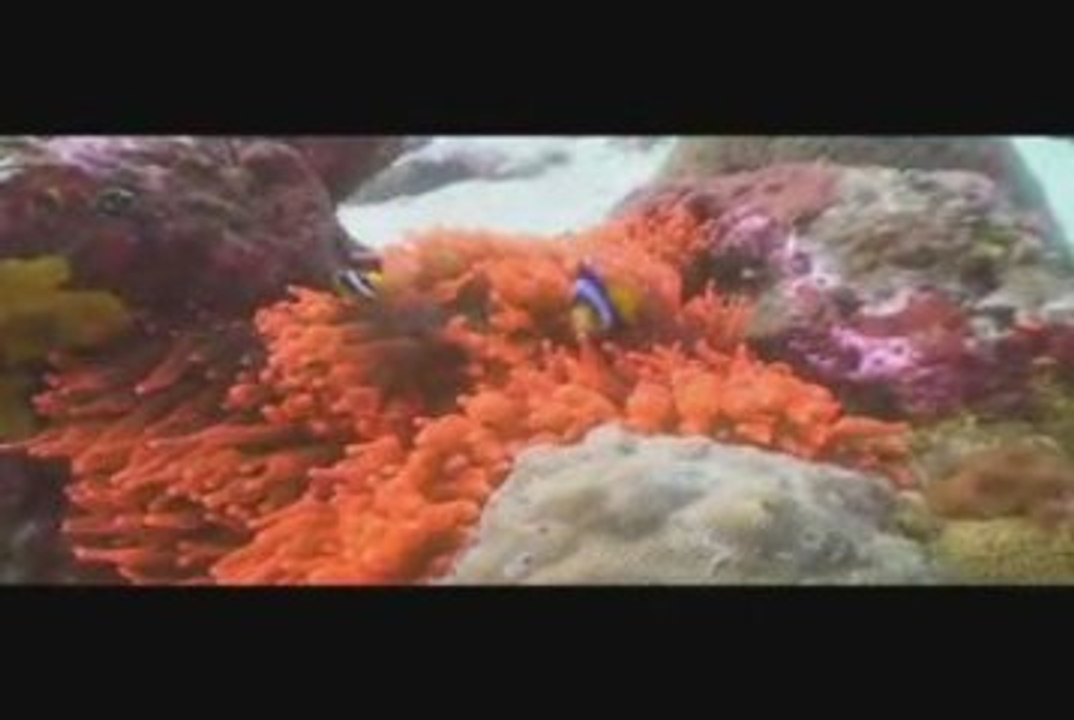 Similan diving part 1