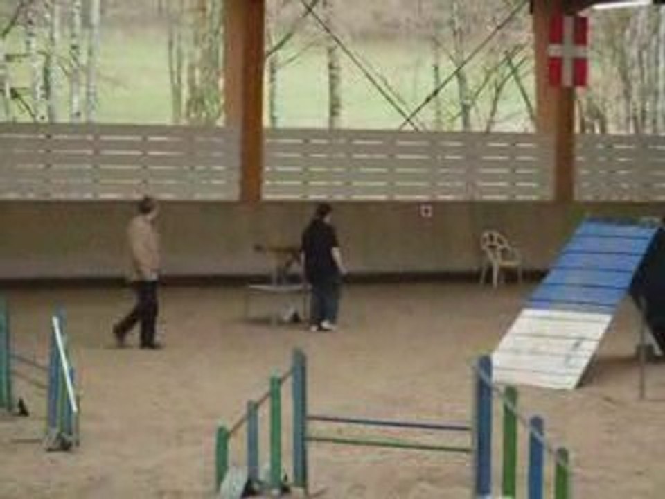 Concours d'agility Annecy 29 mars 2009