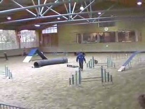 Blueberry Open Agility Annecy 29/03/2009