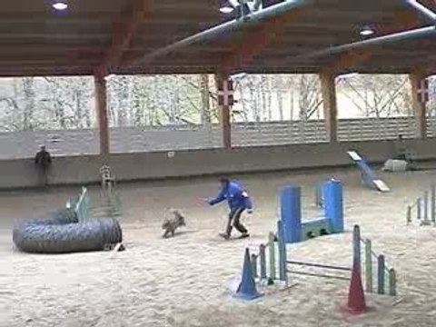 Blueberry Degre Agility Annecy 29/03/2009