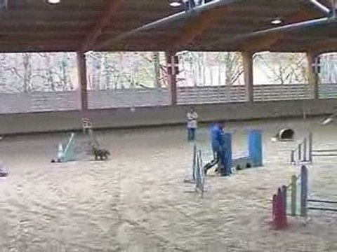 Blueberry GPF Agility Annecy 29/03/2009