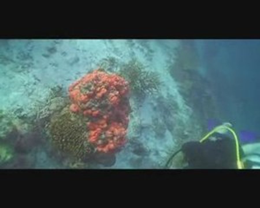Similan diving part 3