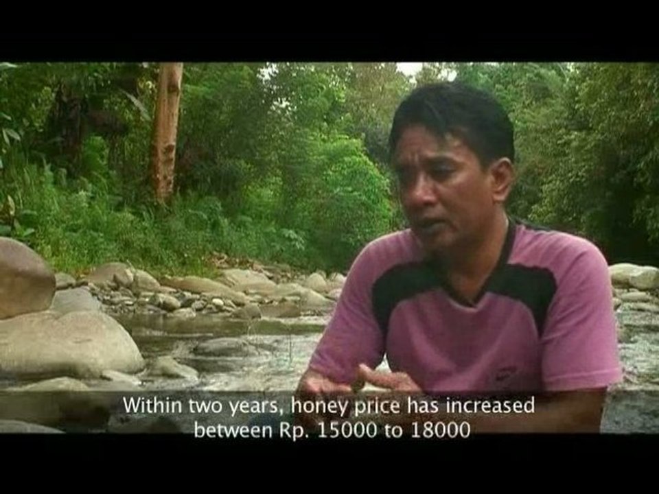 Indonesia Forest Honey Network