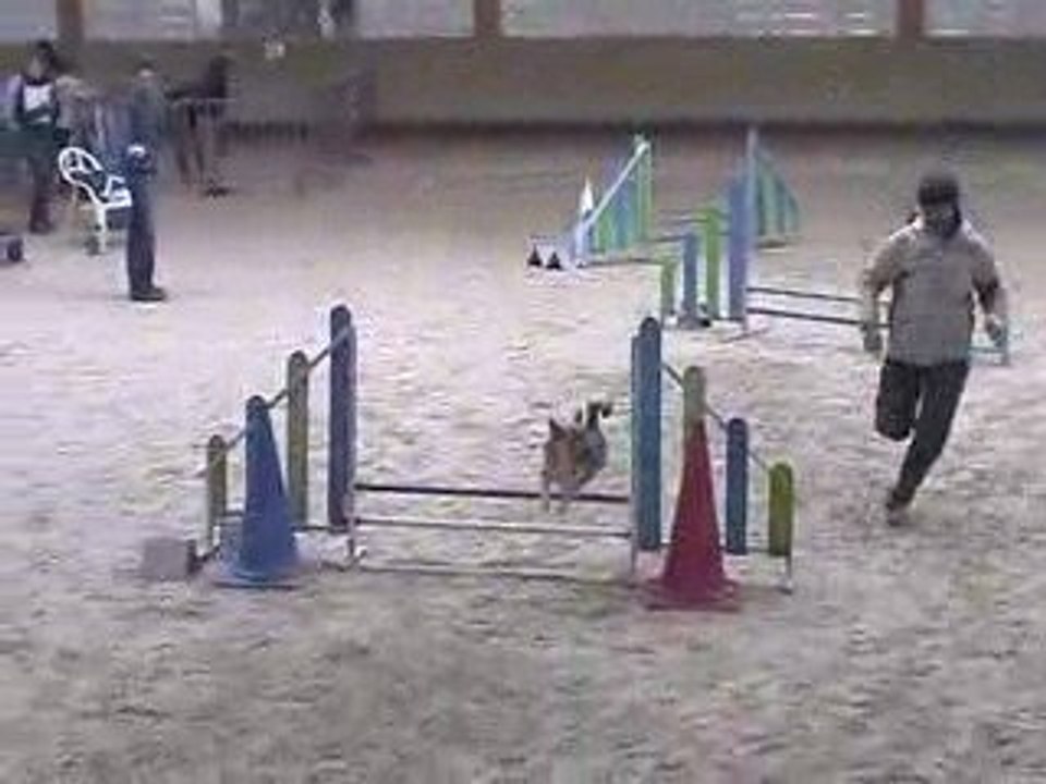 Boom Jumping Agility Annecy 29/03/2009