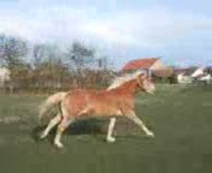 Vidéo0040