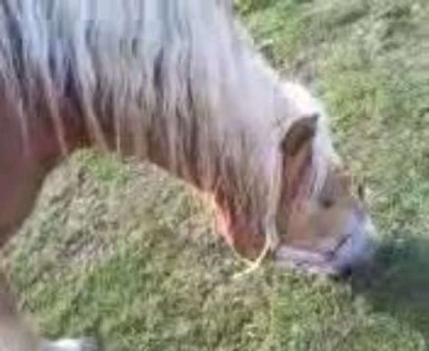 Vidéo0041