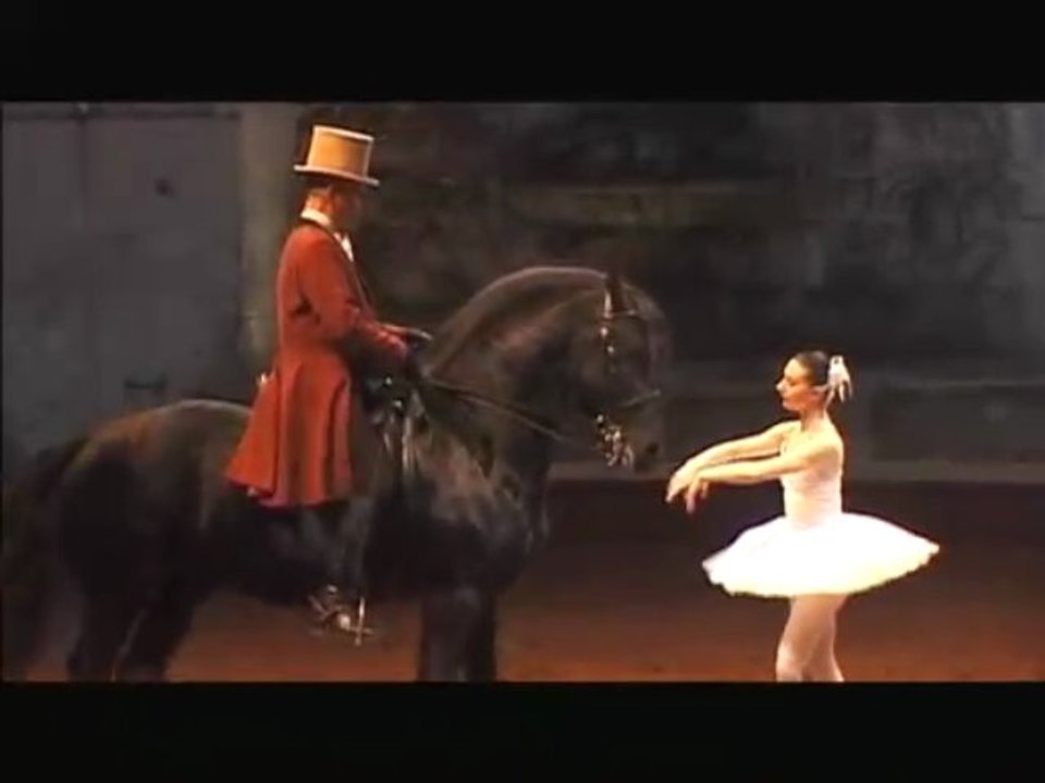 Domaine de Chantilly / spectacles