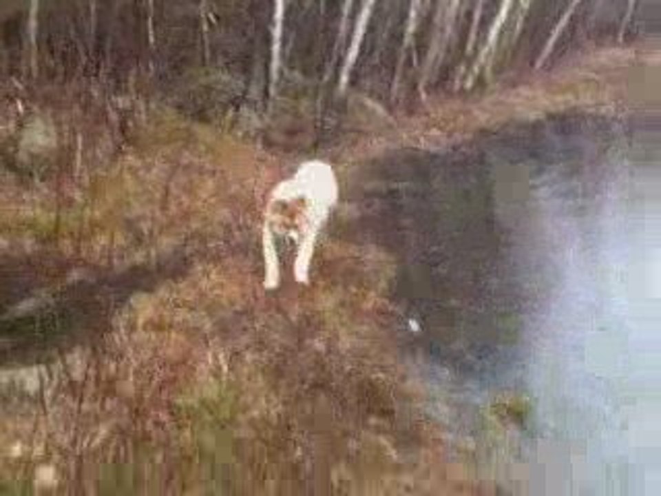 Rainy Day Workout With My Dog