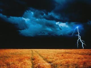 Tropical Storm Nature Sounds