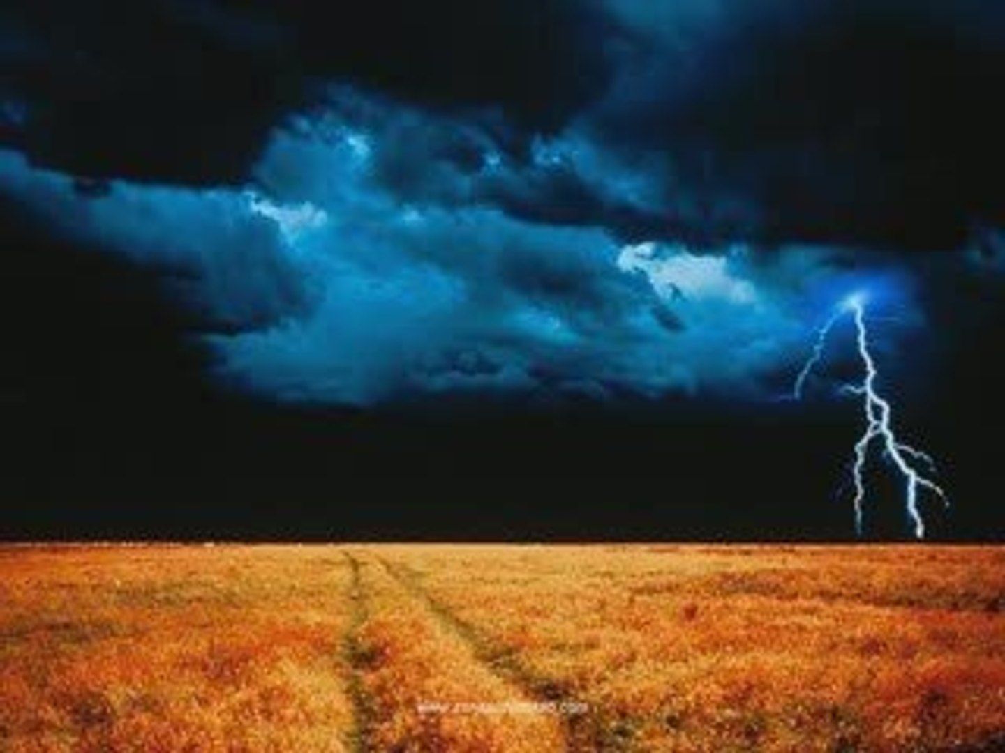 ⁣Tropical Storm Nature Sounds
