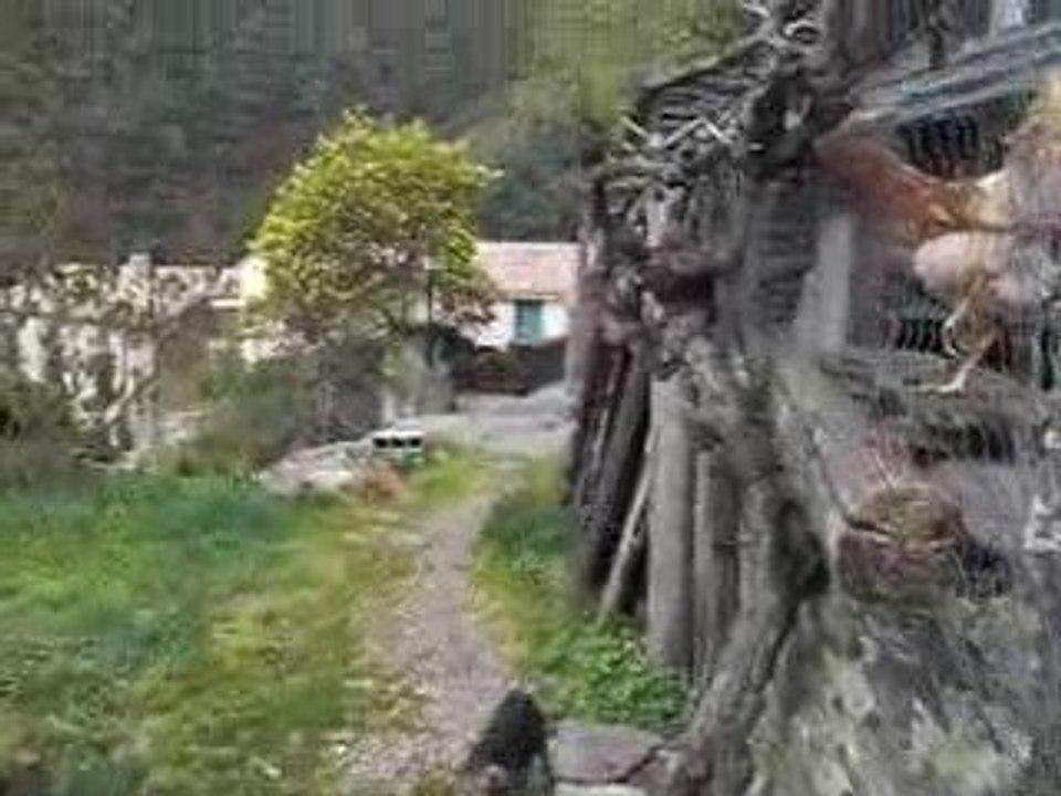 Roquefere