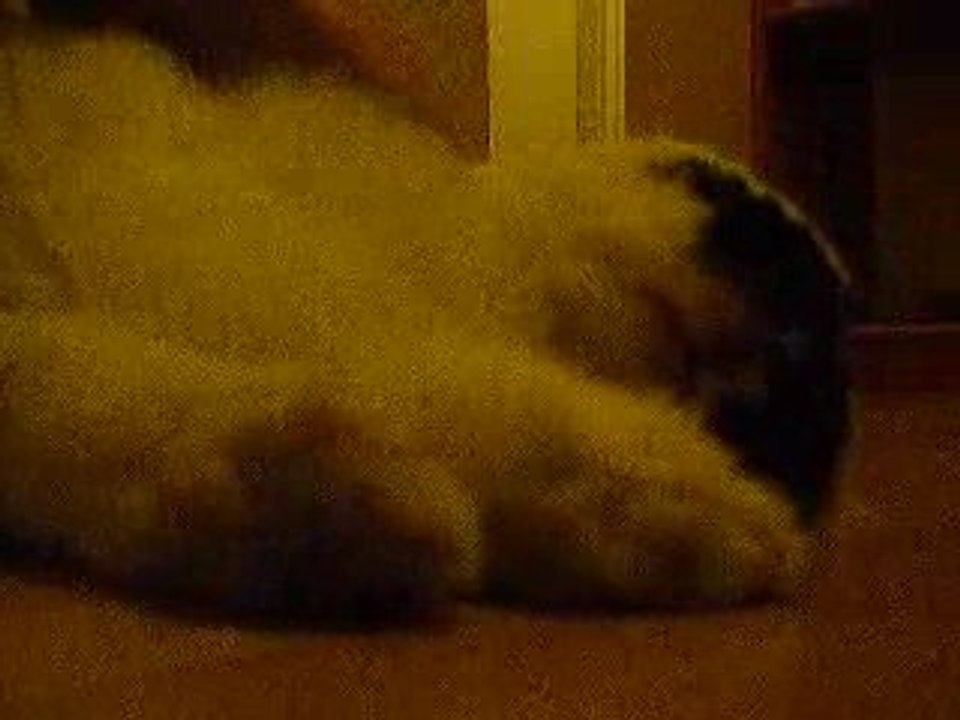 Séance massage (encore et toujours... lol)