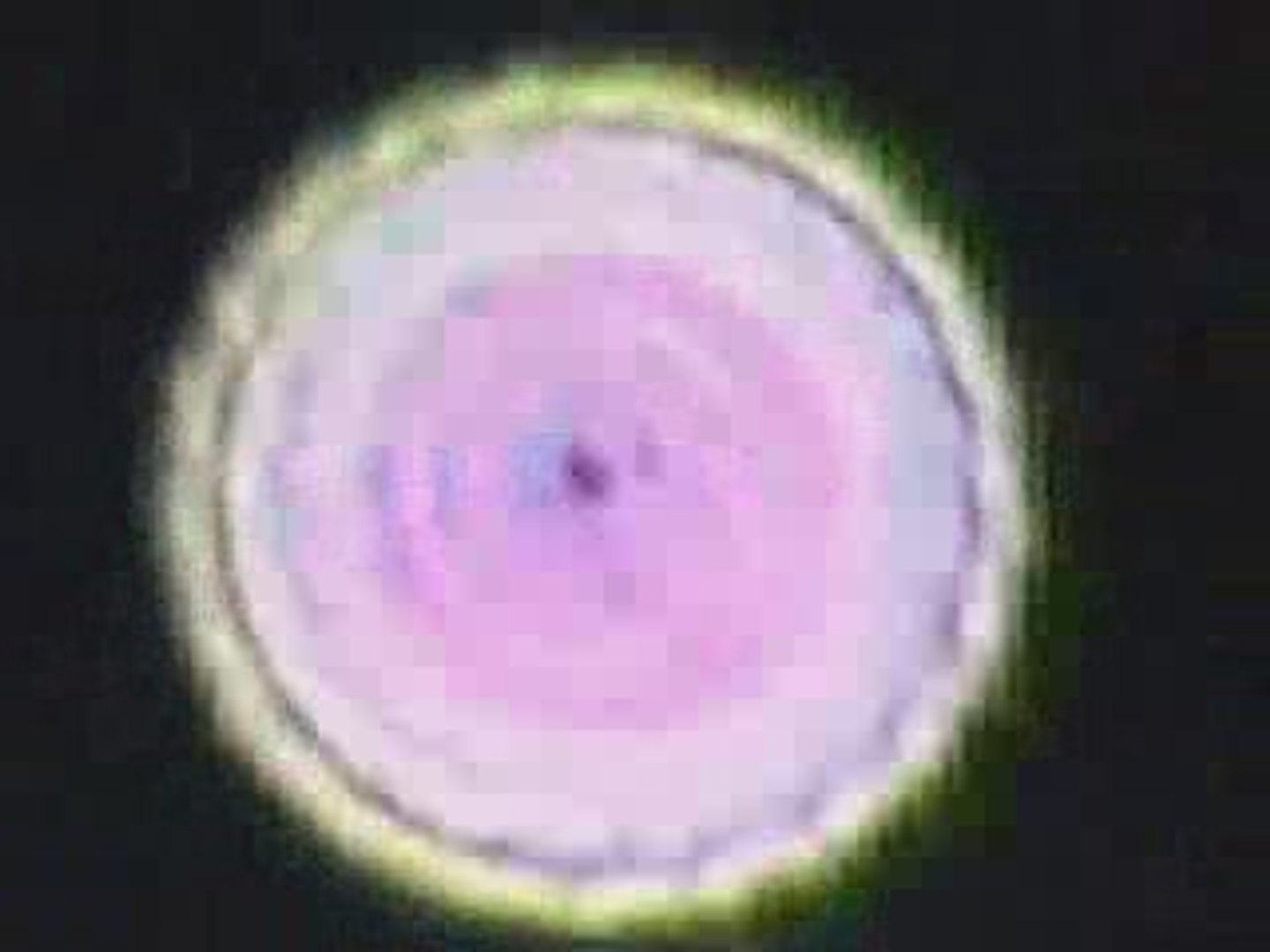 UFO landing filmed Ukraine Video