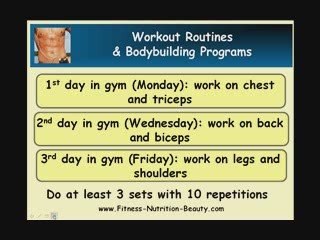 Free Bodybuilding Routines - Sample For You