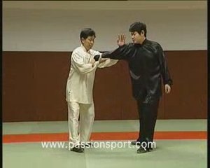 Taï Chi Chuan  Applications Martiales avec Maître JIAN Liuju