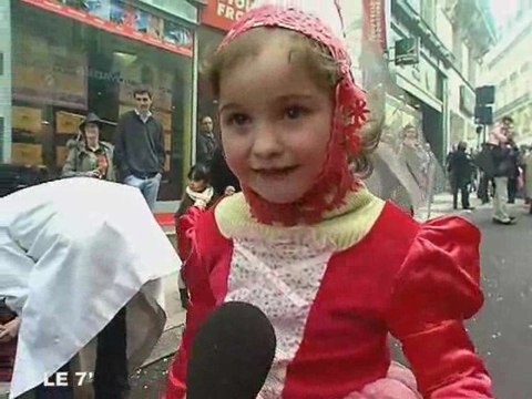 Angers : Carnaval ... la vie de château !