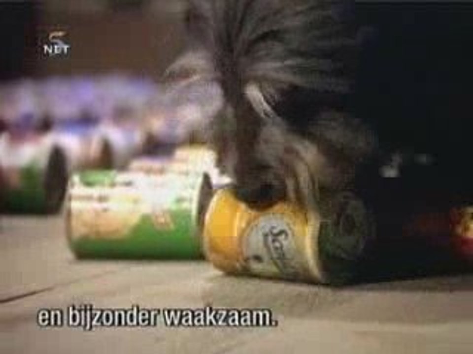 1-Homesecurity