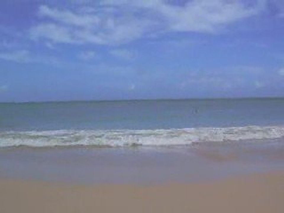 Plage des Salines, Martinique 2008