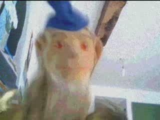 Prout qUE JE T'AIME !