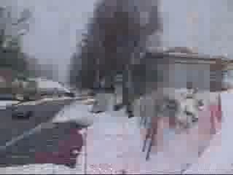 Les bronzés font du ski