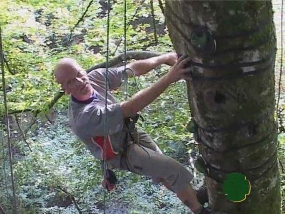 CLIP ESCALARBRE 2008