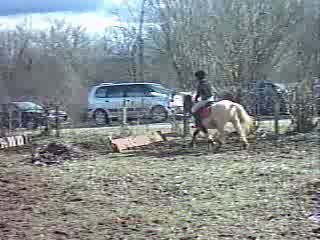 Concours de cheval