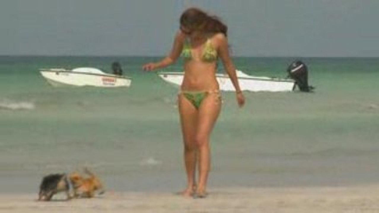 Safari speed boat snorkel tours