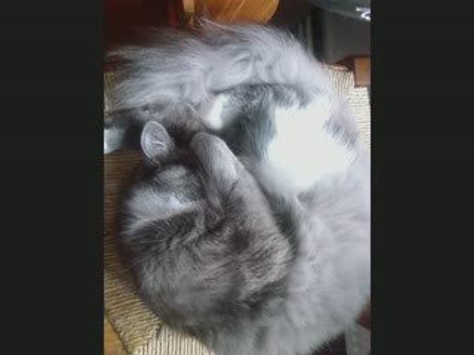 CHOUKET