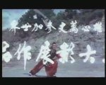 Born invincible - kung fu martial arts movie trailer tai chi