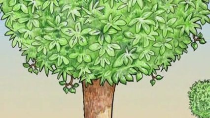 The Hottest Kid Tunes of 2009!