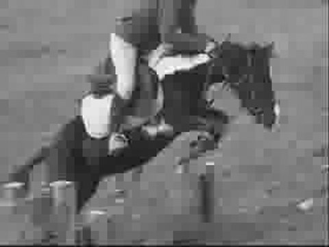 Oasis méga cour lachez vos com's