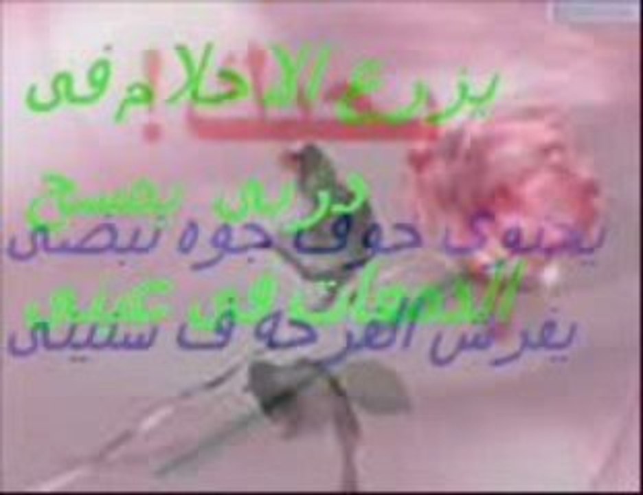 مجد الفن  مجد القاسم  رساله من ابن سيناء