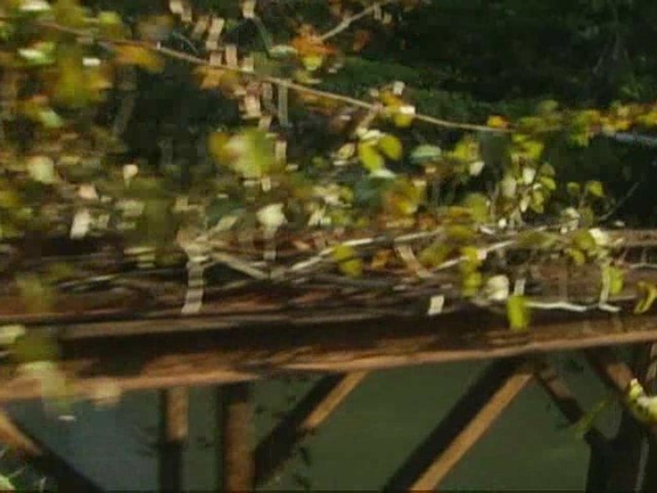 Behind the scenes of Disney/ Pixar's UP