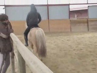 Decouverte du cheval et monte islandaise