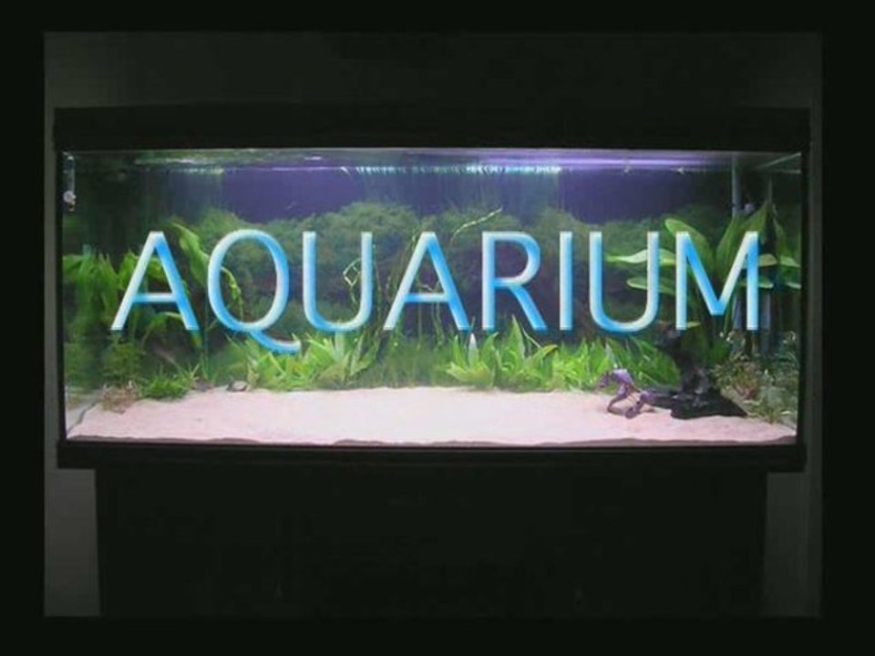 Aquarium